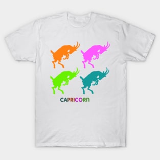 Capricorn T-Shirt